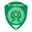 Home team logo