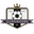 Home team logo
