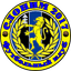 ФК Слоним 2017 logo
