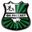Home team logo