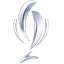 Logo of the Суперкубок Аргентины