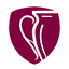 Logo of the Премьер Дивизион