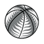 НБЛ
