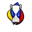 Logo of the Кубок Венесуэлы