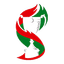 Logo of the Кубок валлийской лиги