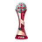 Клубный чемпионат мира
