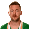 Aiden McGeady image