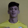 Alberto Montini image