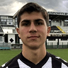 Alessandro Milesi image