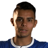 Alexander Larin image