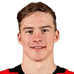 Photo of Andrei Svechnikov