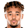 Anton Walkes image