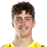 Aron van Lare image
