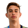 Bruno Carcaioli image