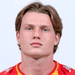 Photo of Даам Фулон