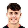 Danny Mullen image