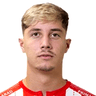 David Miculescu image