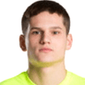Deividas Malžinskas image