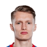 Denis Gojko image