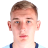 Denis Grechikho image
