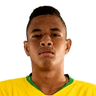 Diego Rosa image