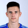 Domagoj Stranput image