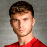 Dominik Schwizer image