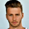 Dominik Stumberger image