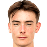 Dylan Levitt image