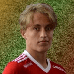 Photo of Эйно-Ийвари Питкяля