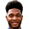 Ellis Harrison image