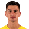 Enis Fazlagić image