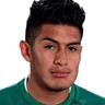 Erwin Saavedra image
