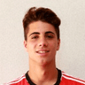 Fábio Cardoso image