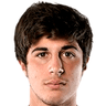 Fabio Morselli image