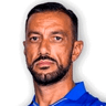 Fabio Quagliarella image