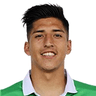 Fernando Cornejo image