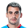 Fernando Torrent image