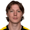 Gard Simenstad image