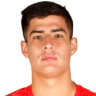 Gonzalo Collao image