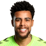 Gustavo image