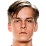 Hannes Sveijer image