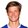 Henrik Sælebakke Falchener image
