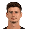 Ian Harkes image