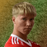 Photo of Йоэл Лехтонен