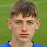 Joe Grey image