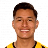 José Flores image