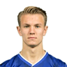 Emil Kornvig image