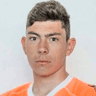 Lautaro Amade image