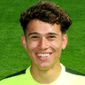 Lewis Williams image